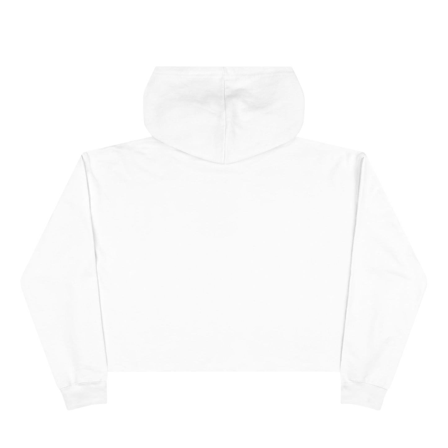 Wasted Booze Crop Hoodie — "All My Money I Spent on Booze, The Rest I Just Wasted" Cute Handwritten Graphic