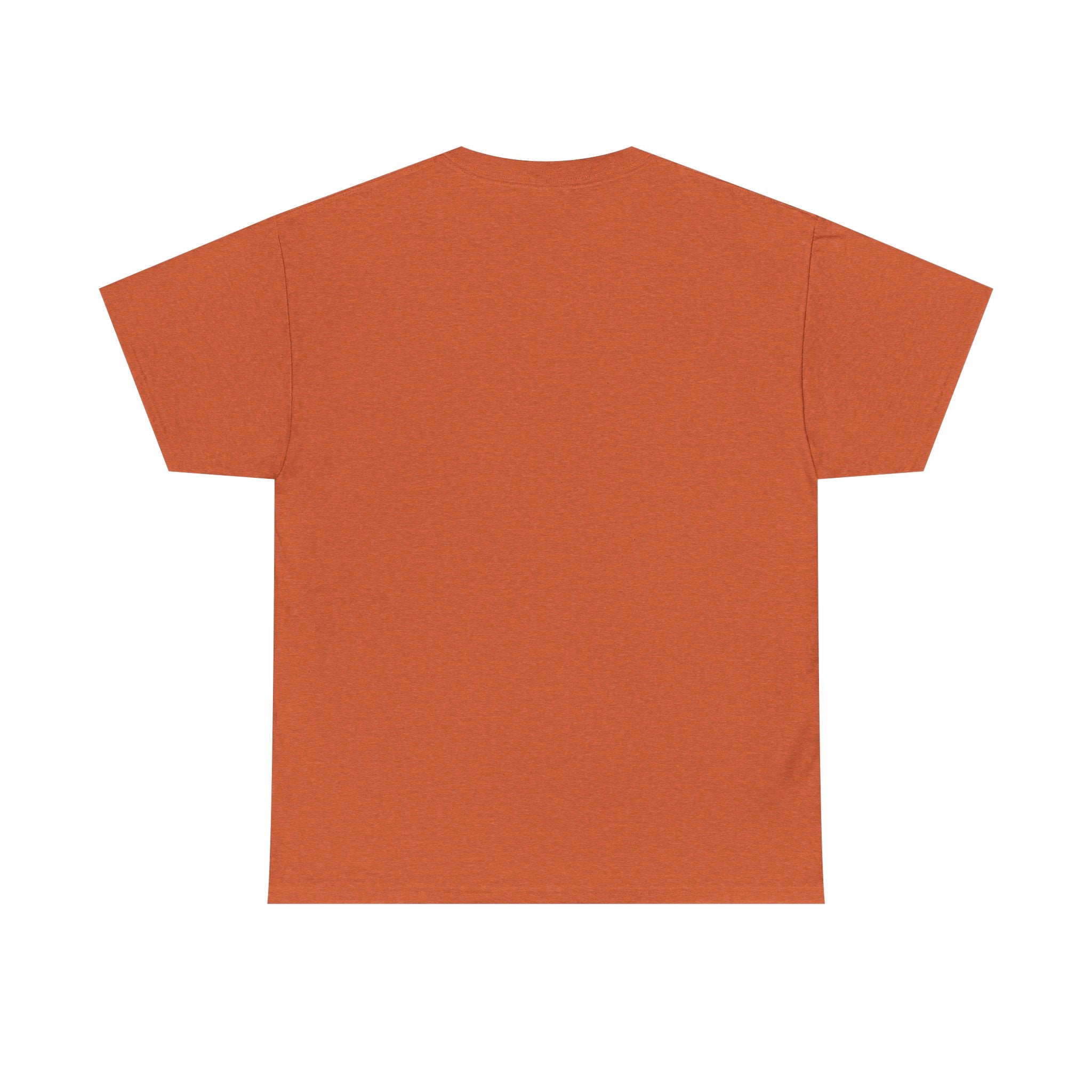 Samsara Unisex Heavy Cotton Tee