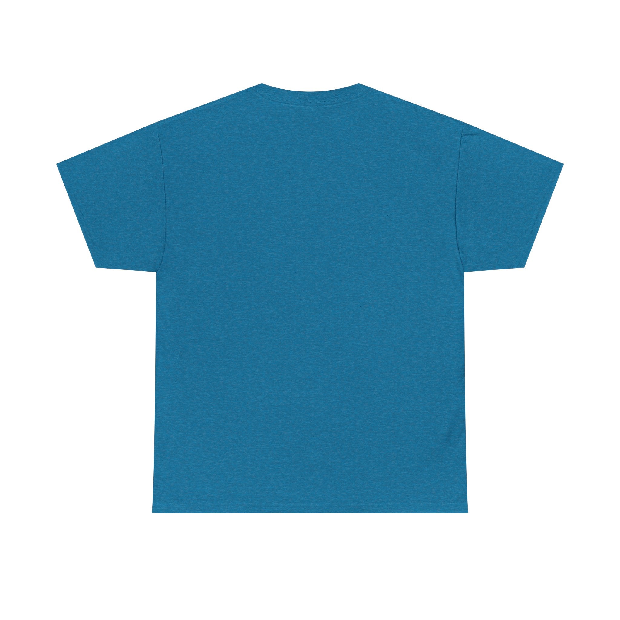 Samsara Unisex Heavy Cotton Tee