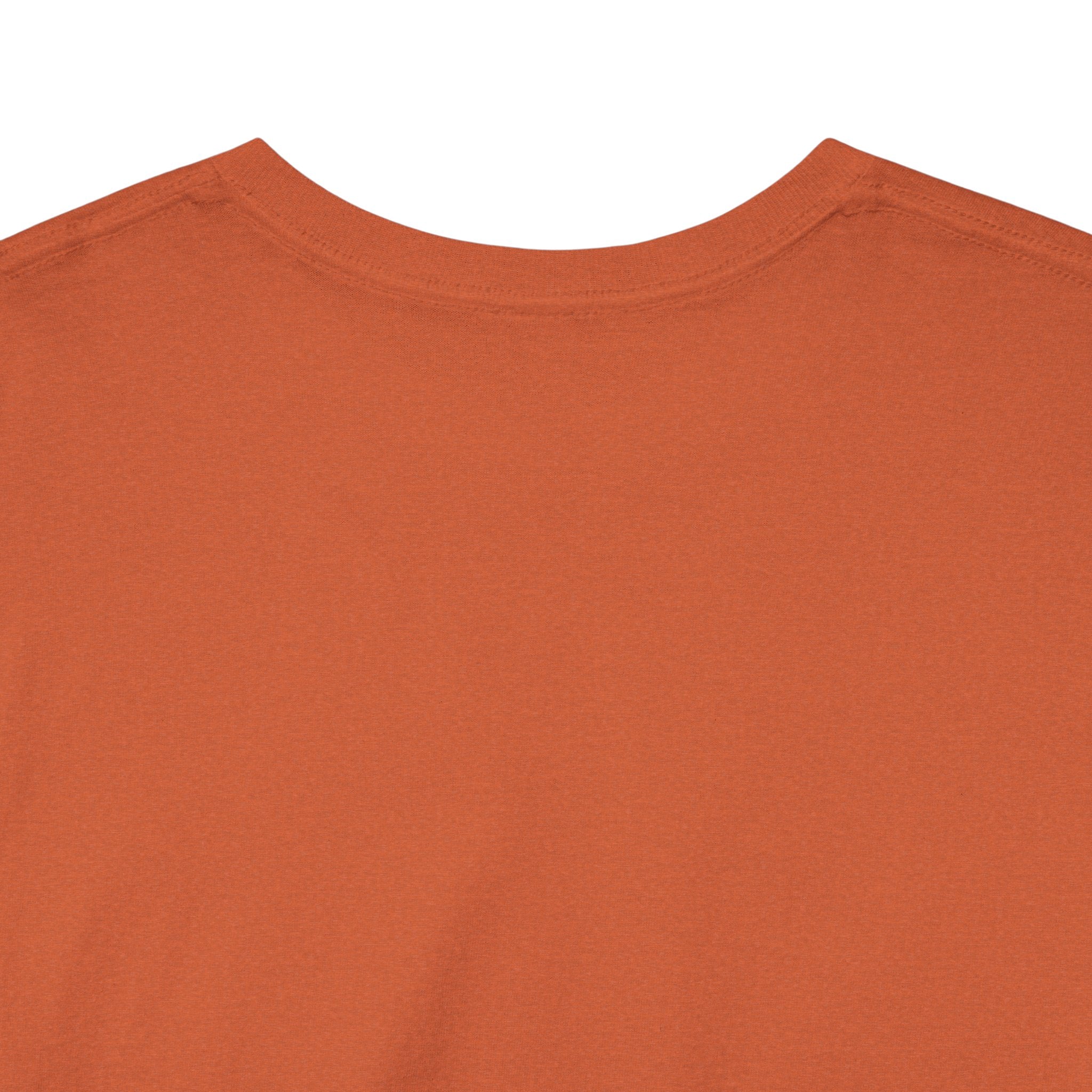 Samsara Unisex Heavy Cotton Tee