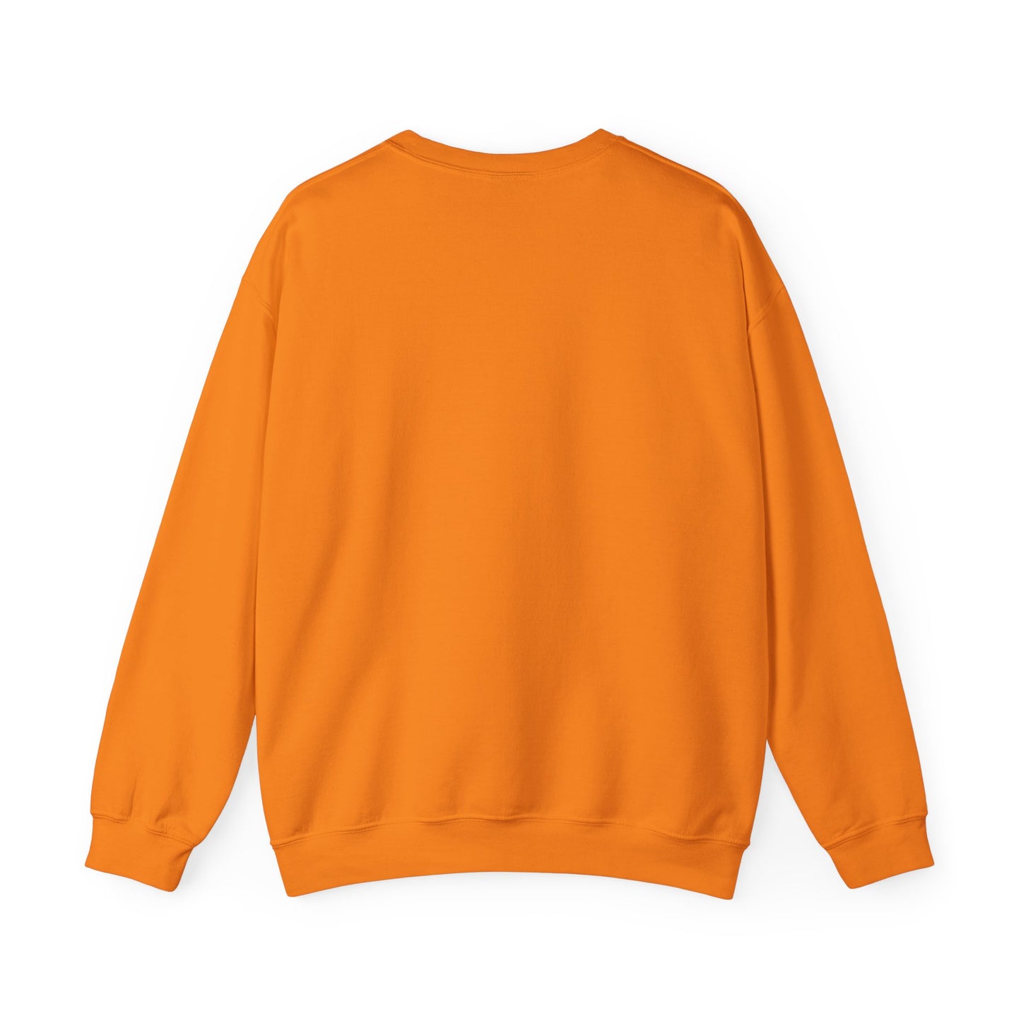 Future is Worth Fighting For Sweatshirt