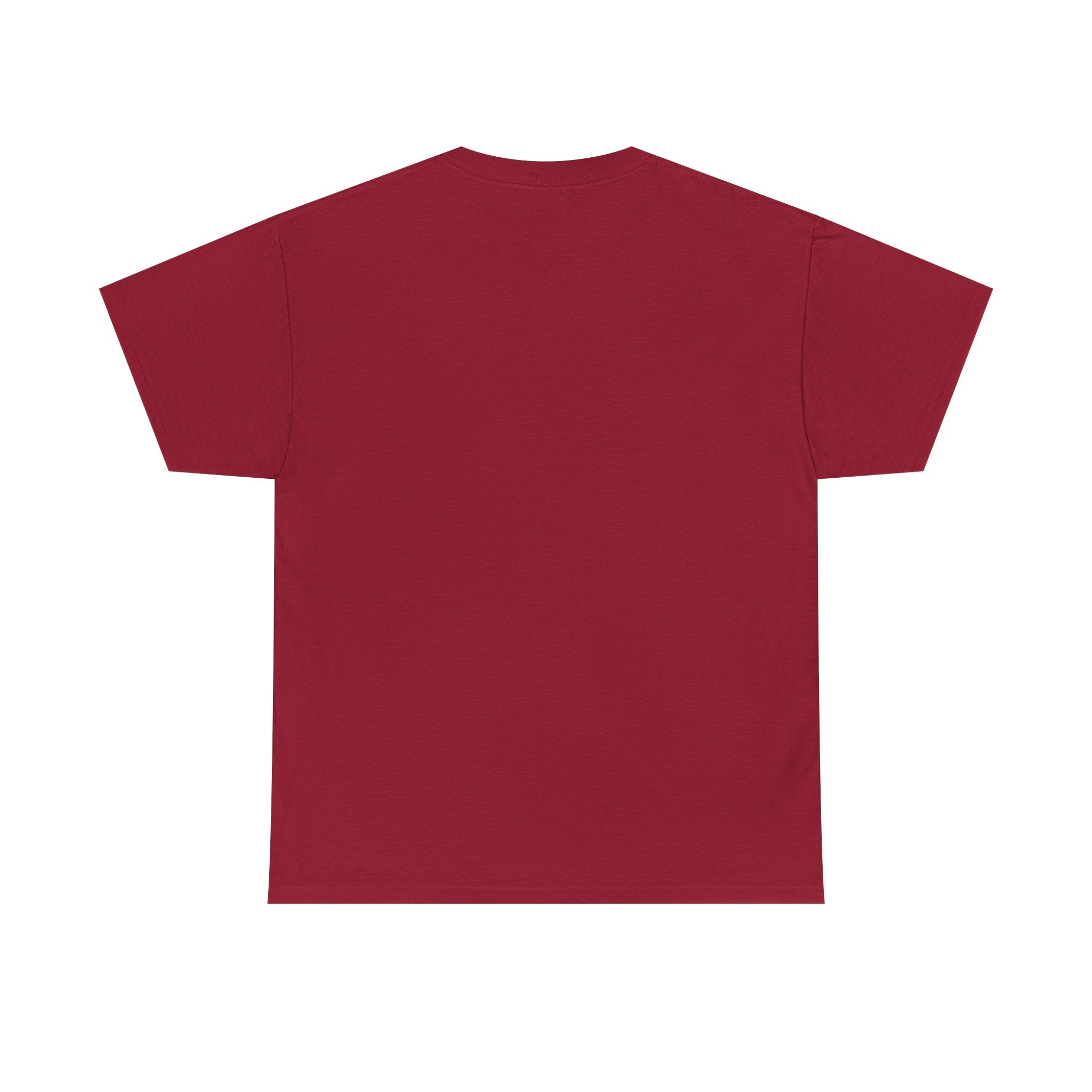 Samsara Unisex Heavy Cotton Tee
