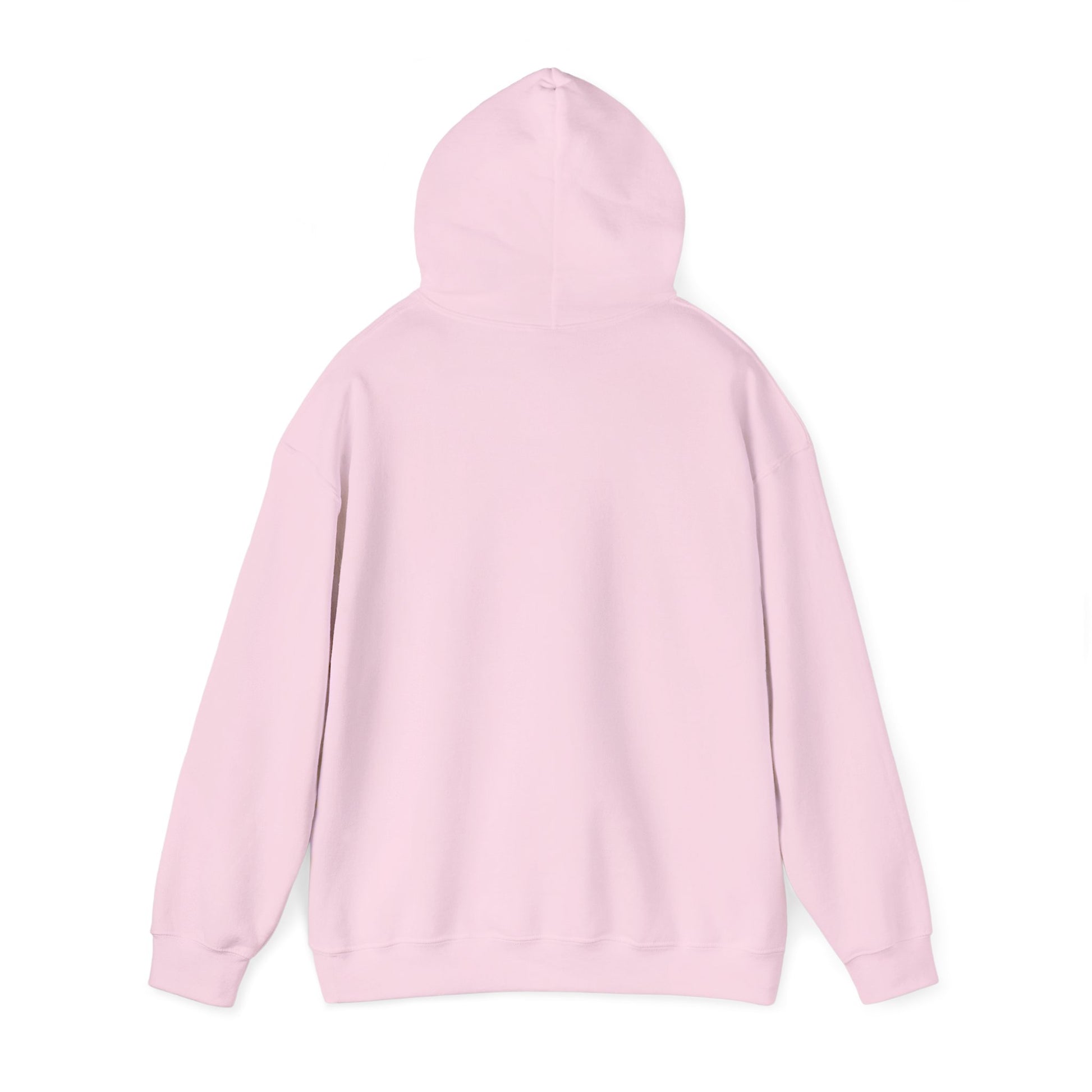 Plain Unisex Heavy Blend Hooded Sweatshirt
