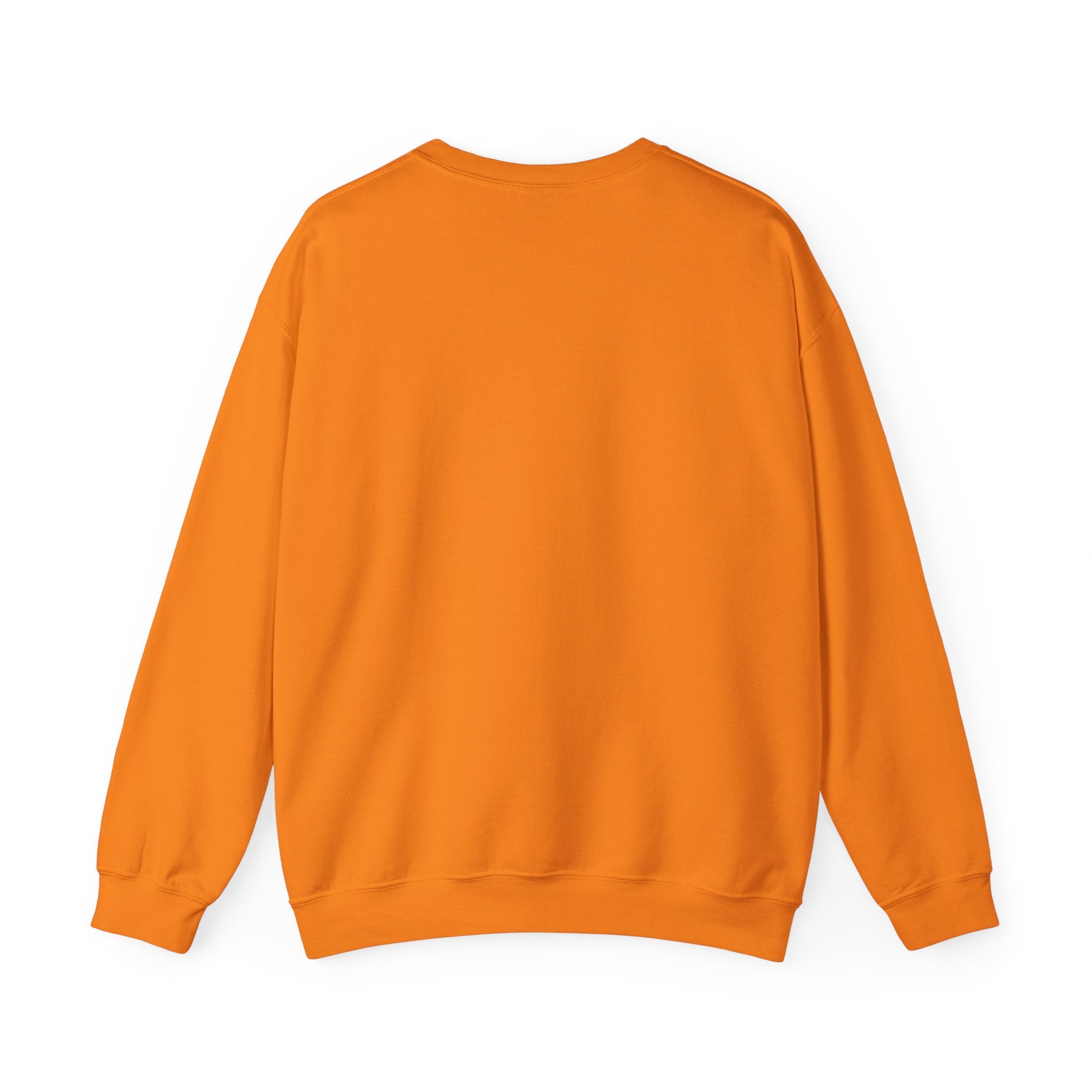 Future is Worth Fighting For Sweatshirt