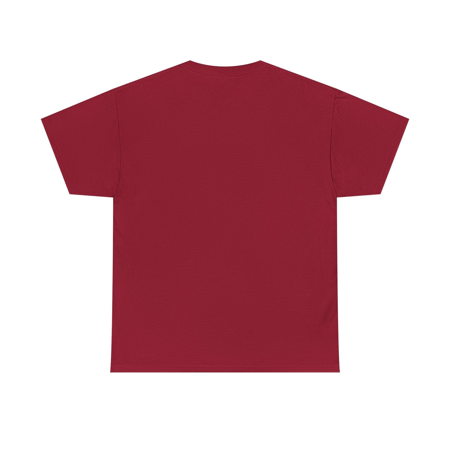 Samsara Unisex Heavy Cotton Tee