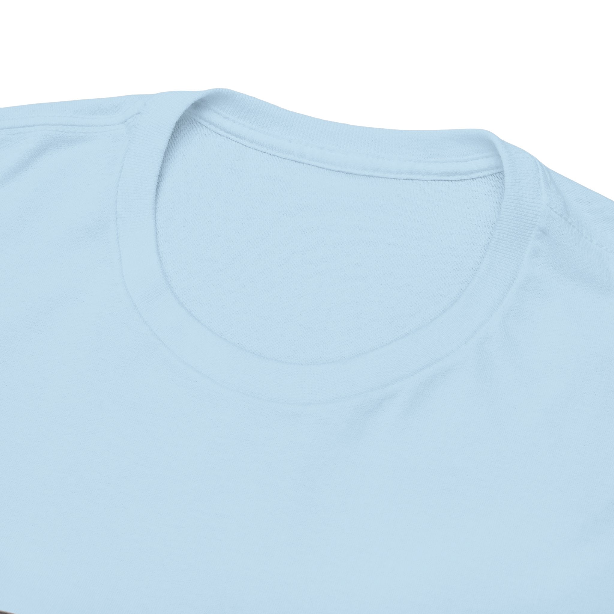 Samsara Unisex Heavy Cotton Tee