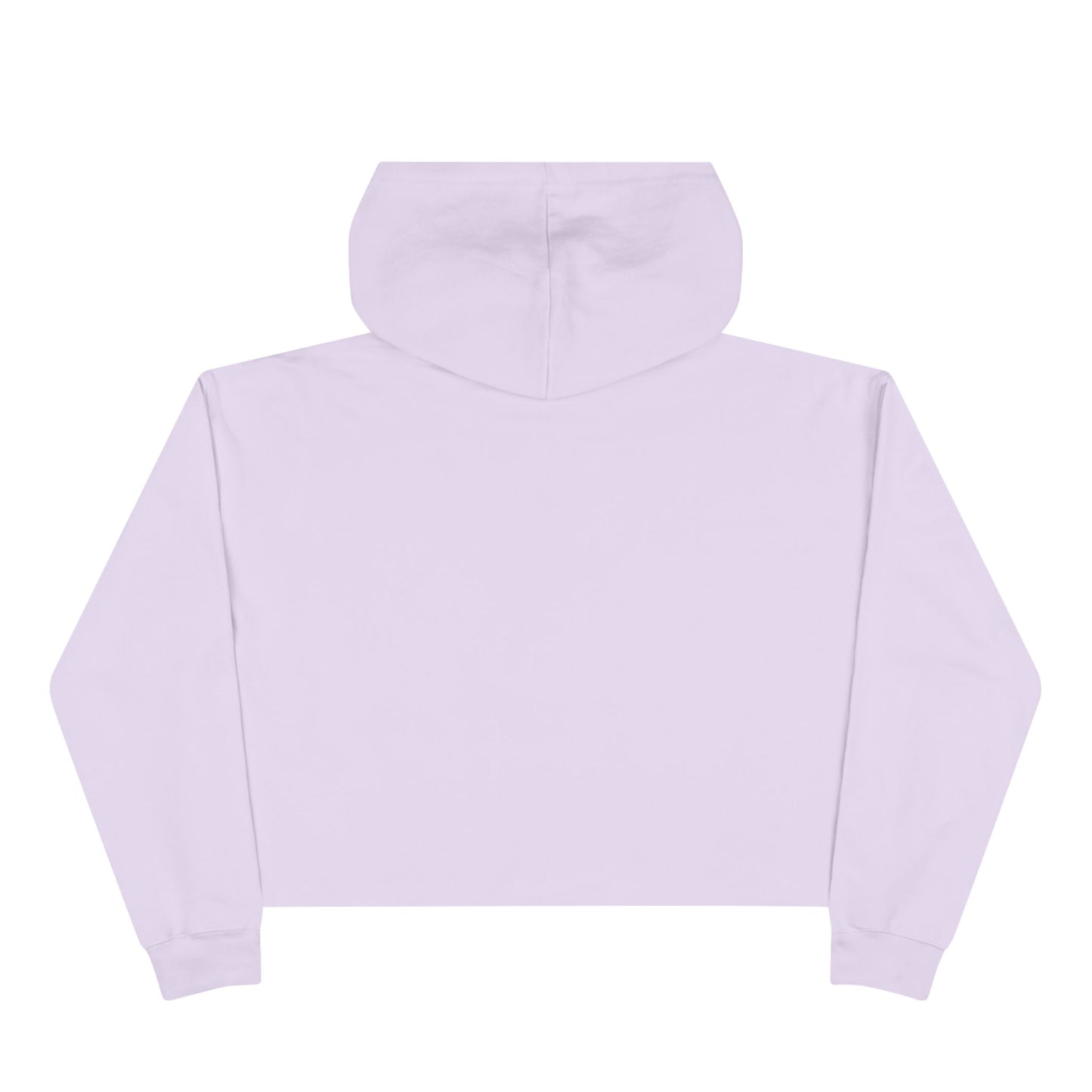 Wasted Booze Crop Hoodie — "All My Money I Spent on Booze, The Rest I Just Wasted" Cute Handwritten Graphic