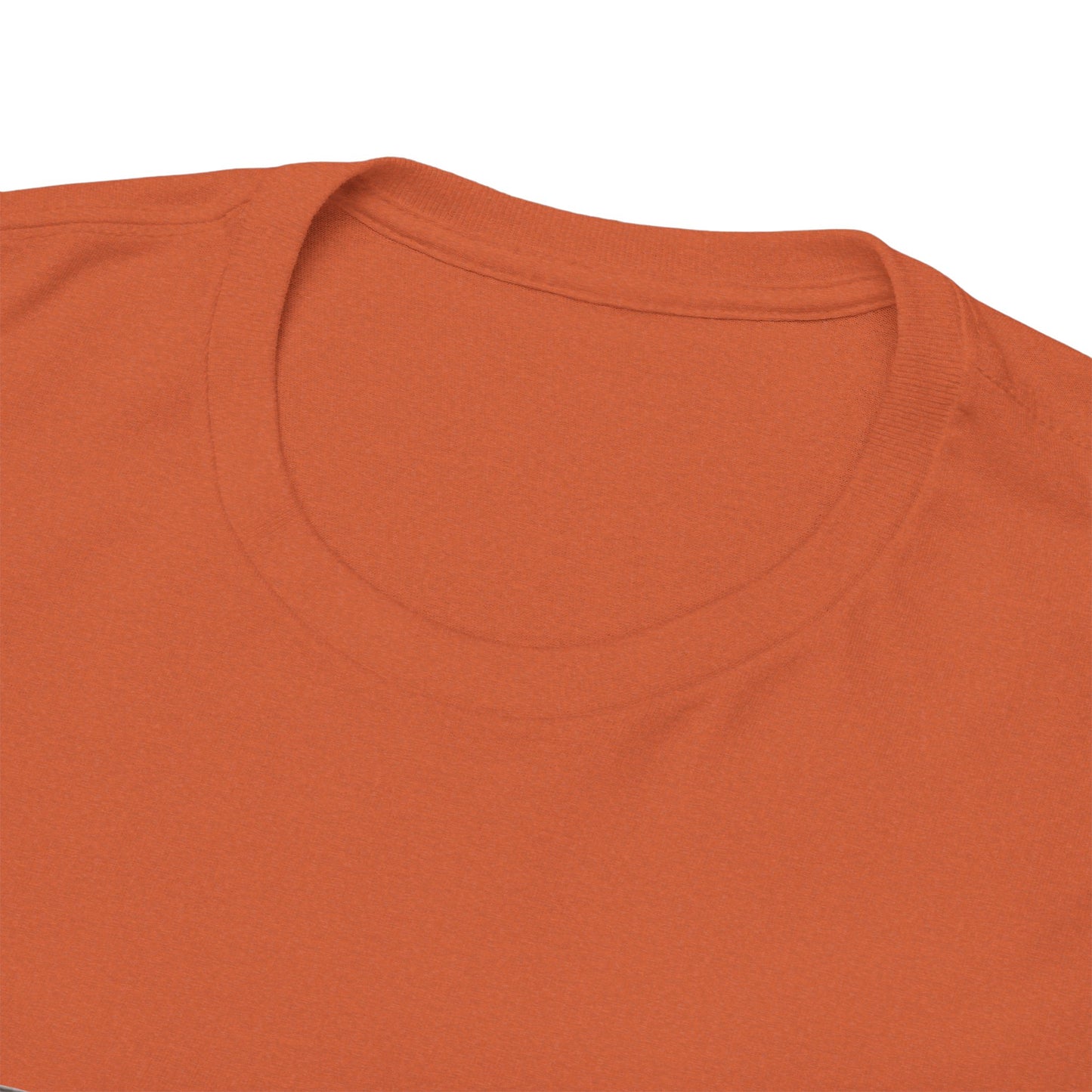 Samsara Unisex Heavy Cotton Tee