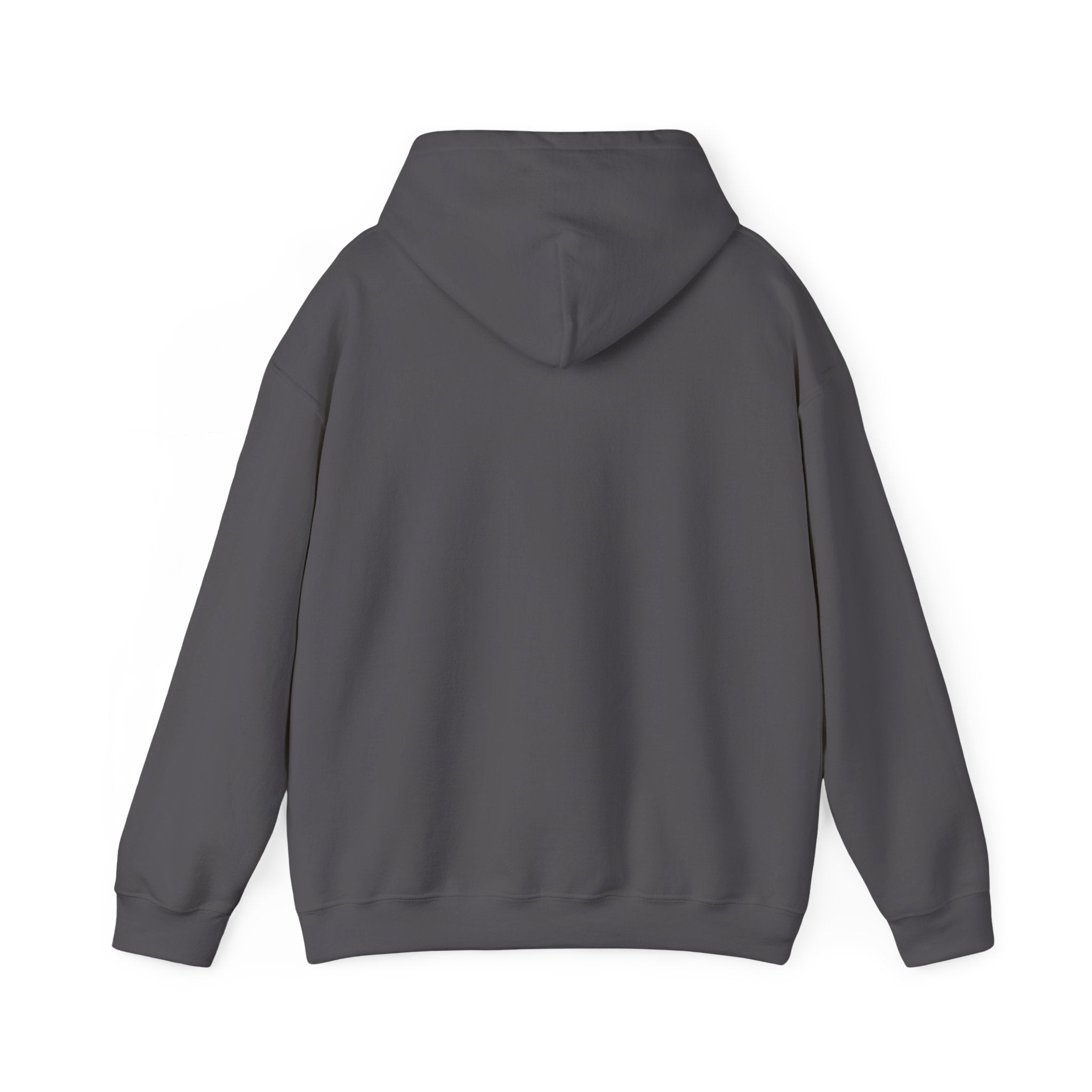 Take me to your Brewer Unisex Heavy Blend Hooded Sweatshirt