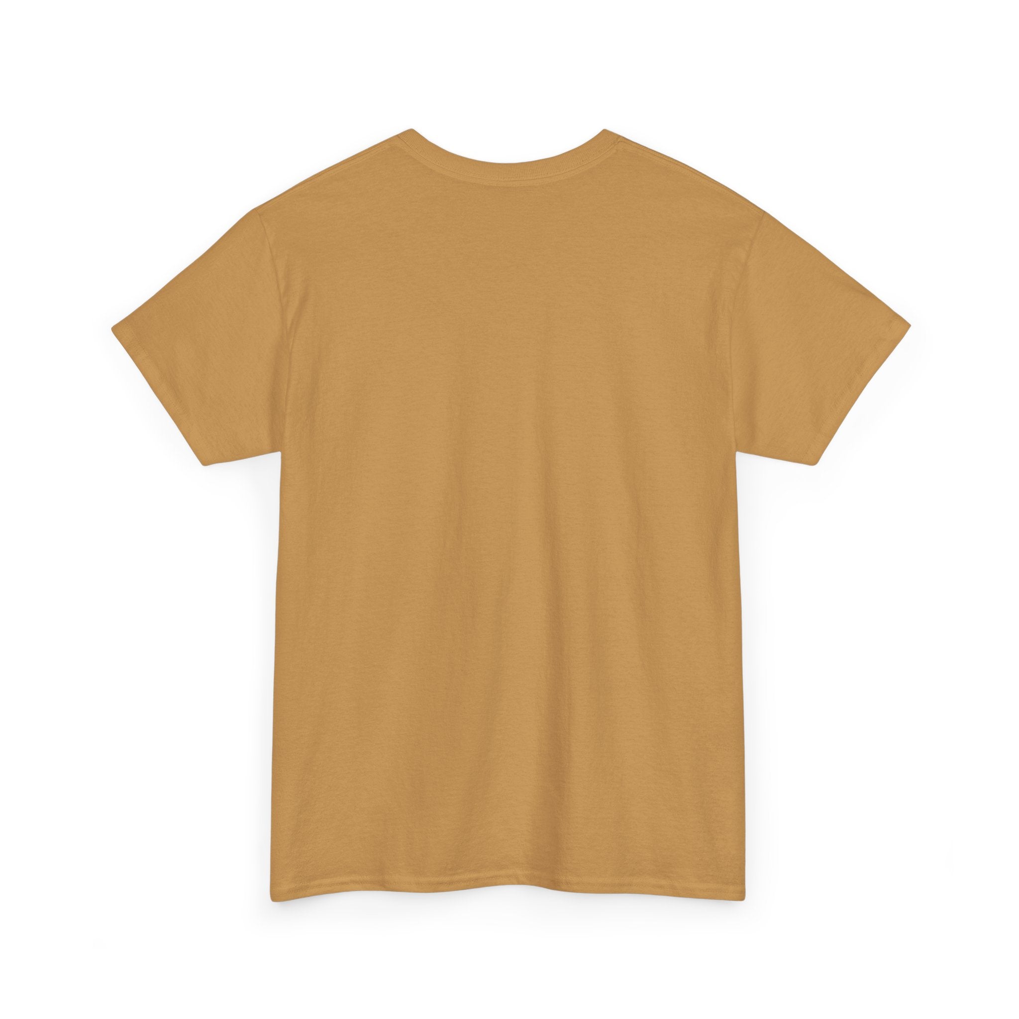 Invisible Shirt - Humorous Unisex Heavy Cotton Tee