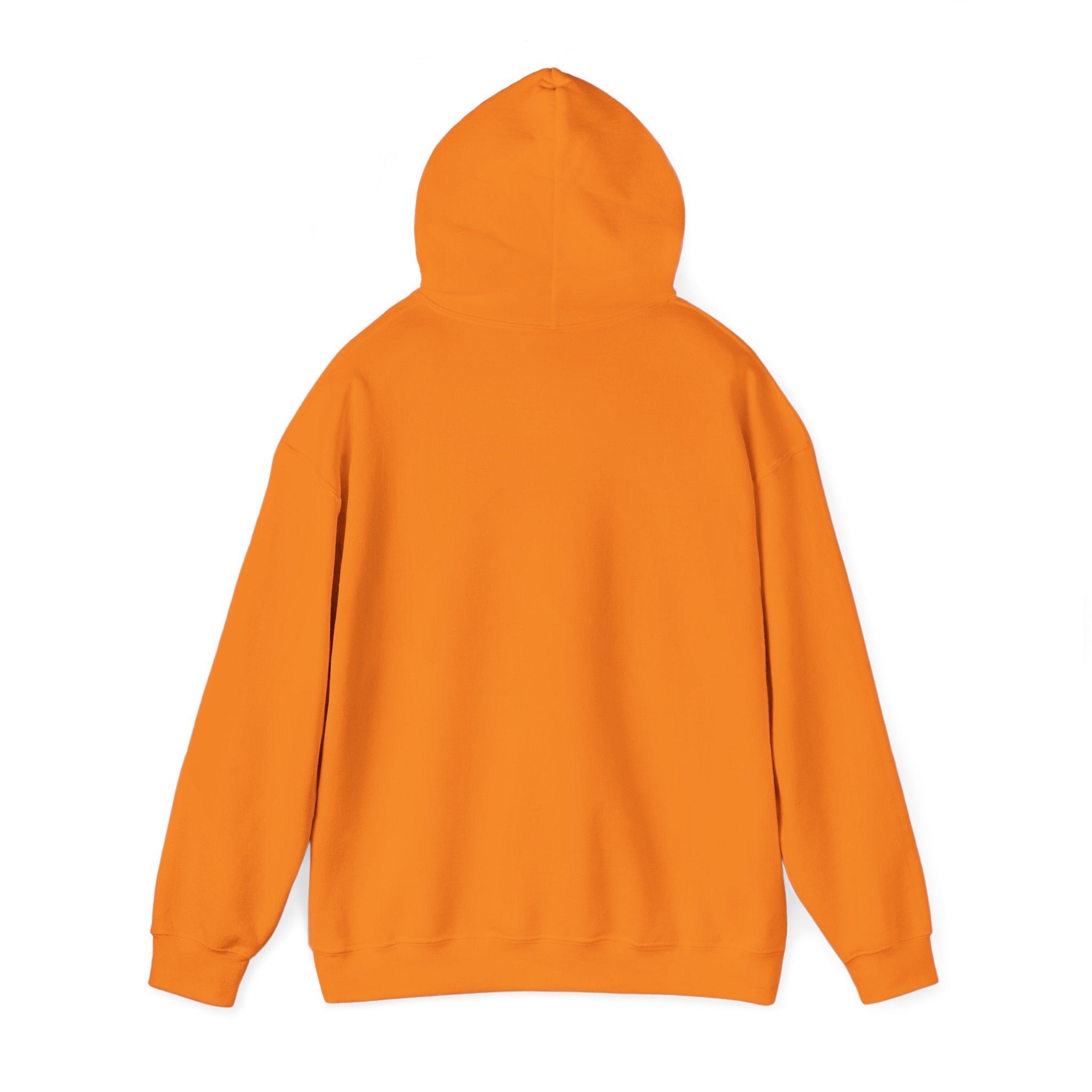 Plain Unisex Heavy Blend Hooded Sweatshirt