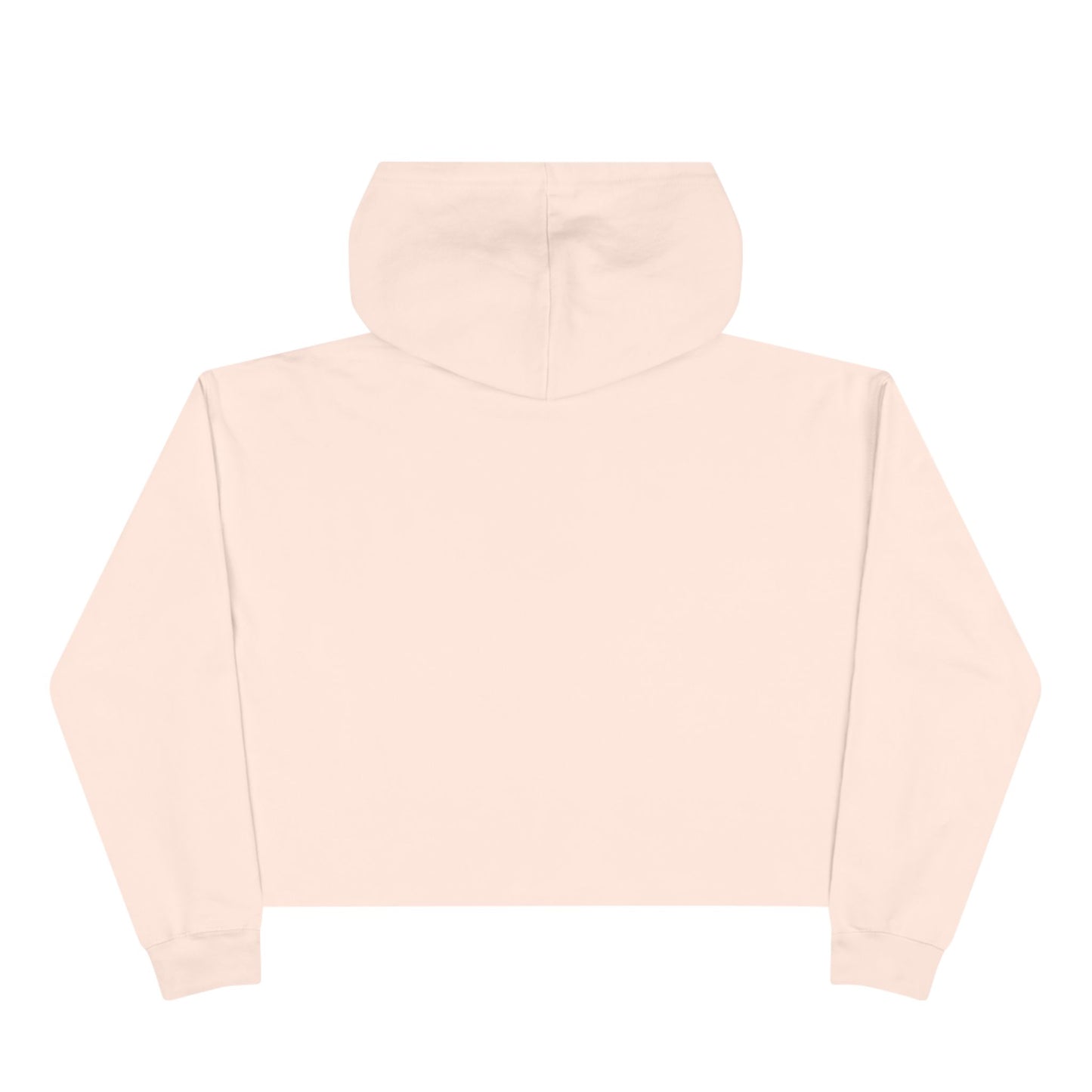 Wasted Booze Crop Hoodie — "All My Money I Spent on Booze, The Rest I Just Wasted" Cute Handwritten Graphic