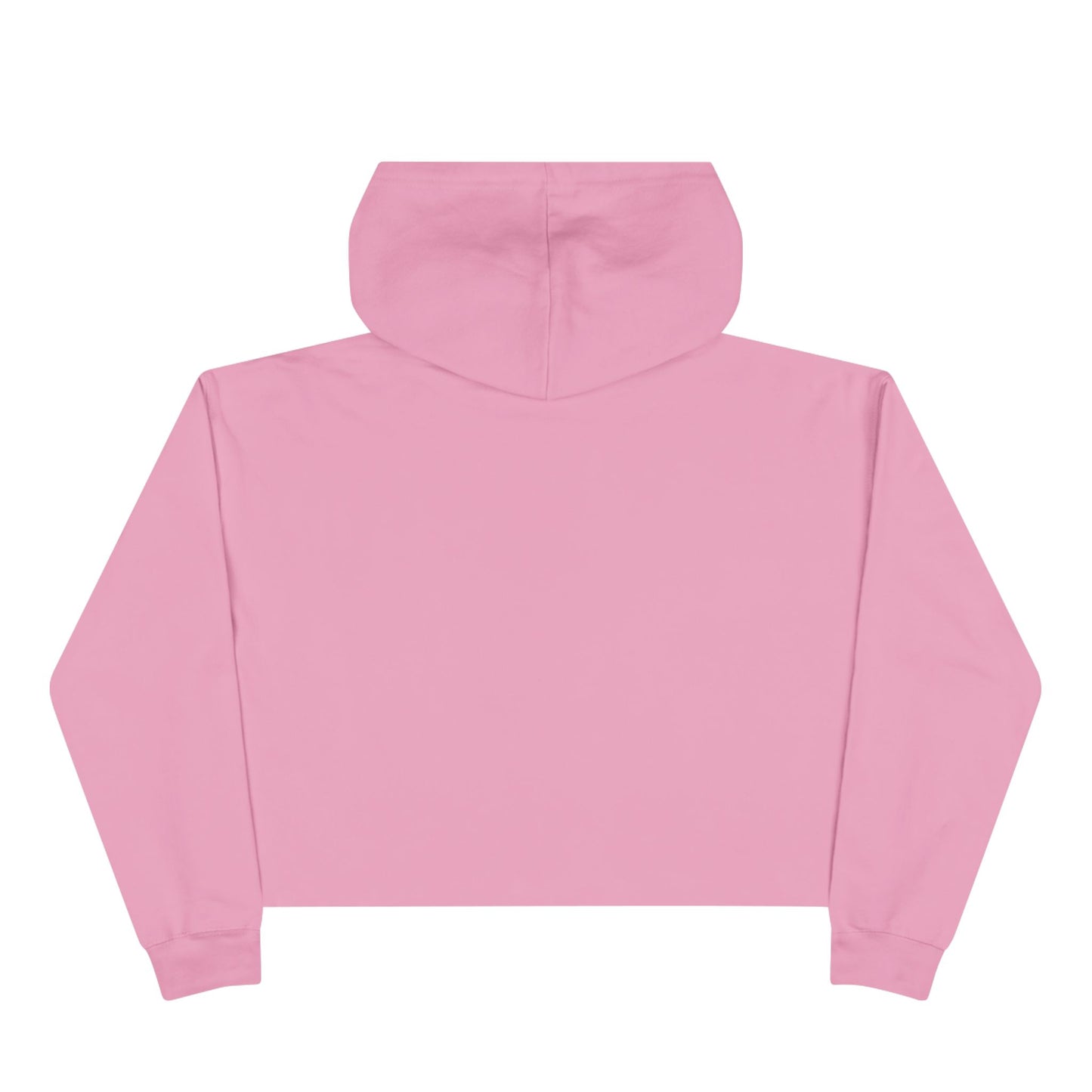 Wasted Booze Crop Hoodie — "All My Money I Spent on Booze, The Rest I Just Wasted" Cute Handwritten Graphic