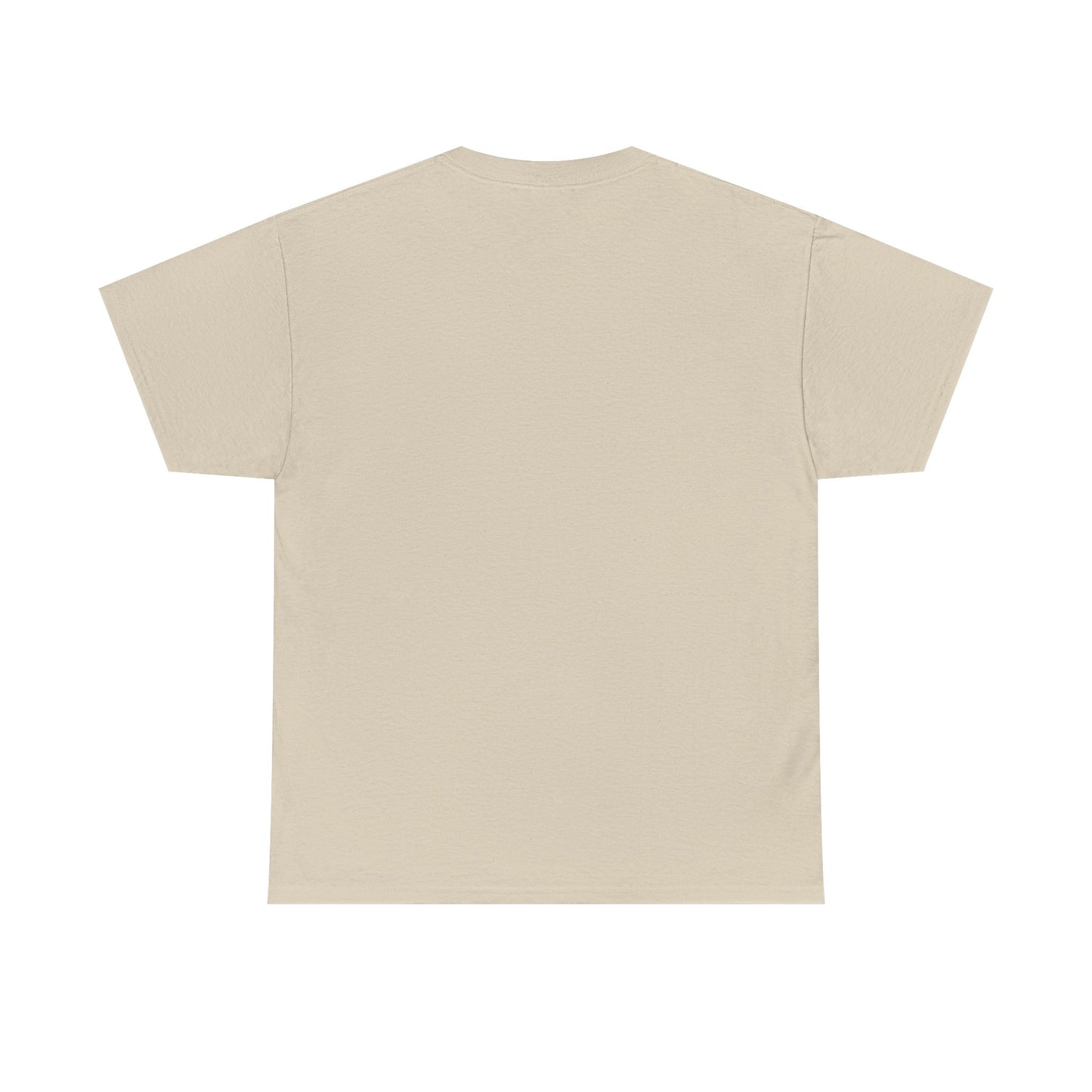 T-Shirt — "All My Money I Spent on Booze, The Rest I Just Wasted" Funny Drinking Tee