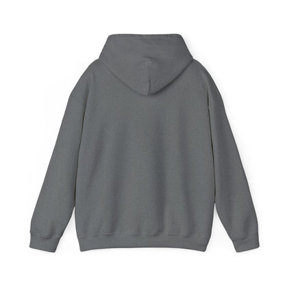 Take me to your Brewer Unisex Heavy Blend Hooded Sweatshirt