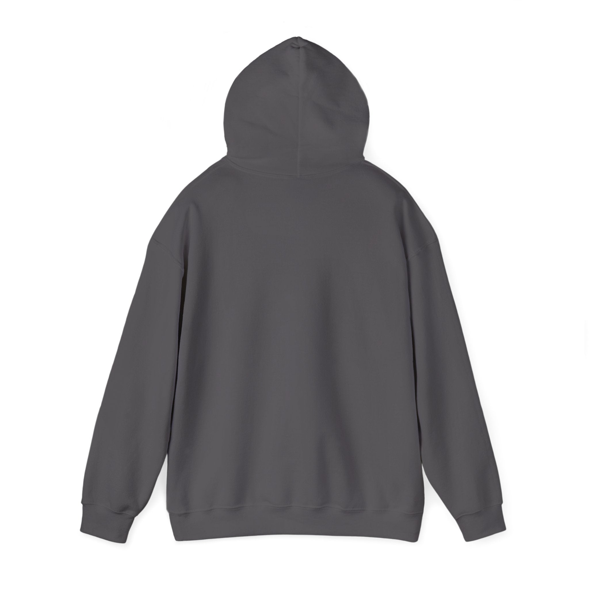 Take me to your Brewer Unisex Heavy Blend Hooded Sweatshirt
