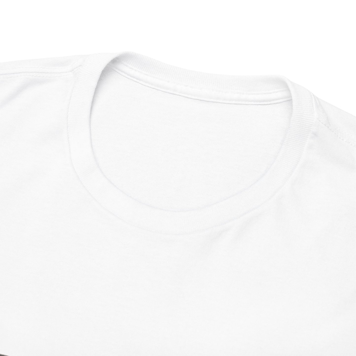 Samsara Unisex Heavy Cotton Tee