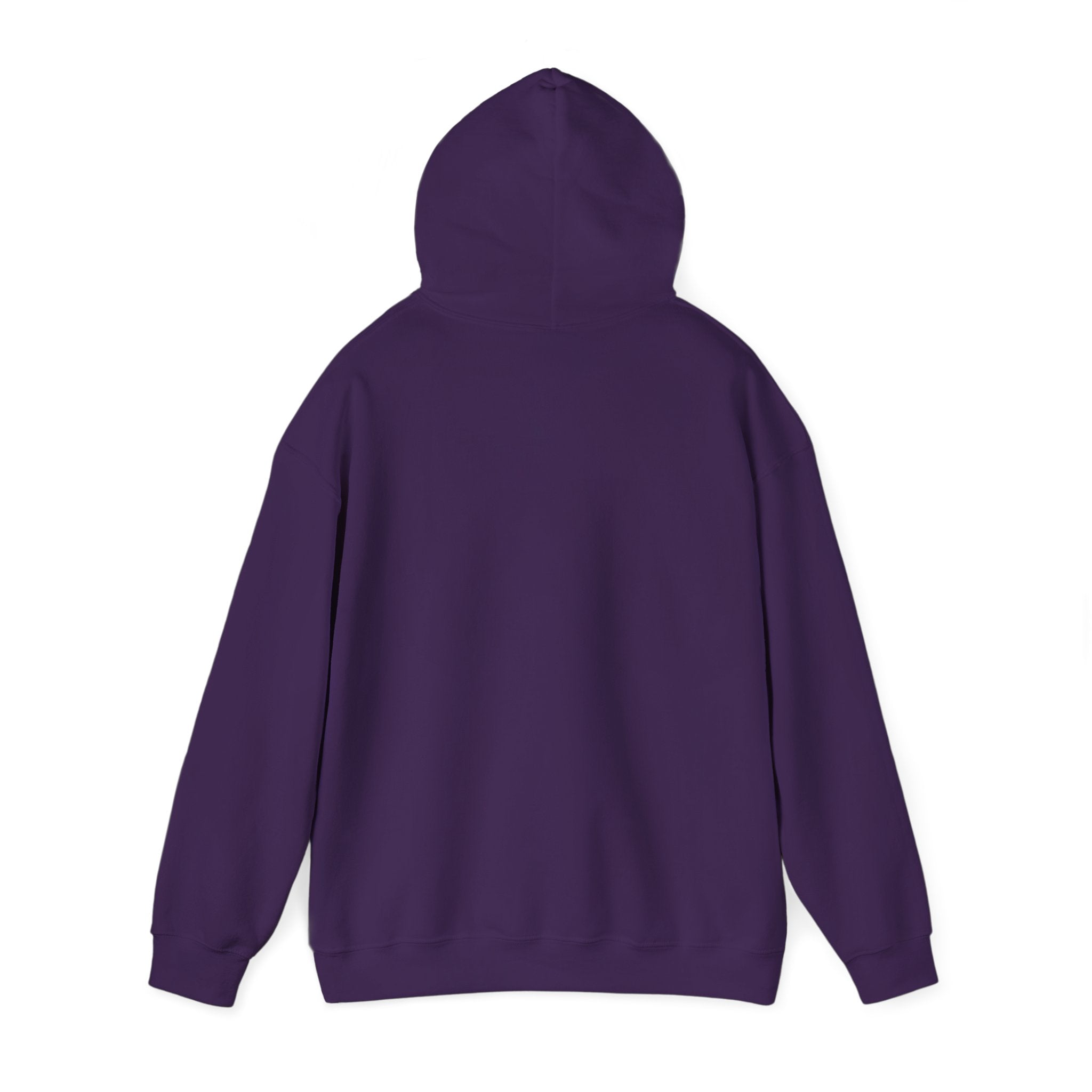 Plain Unisex Heavy Blend Hooded Sweatshirt
