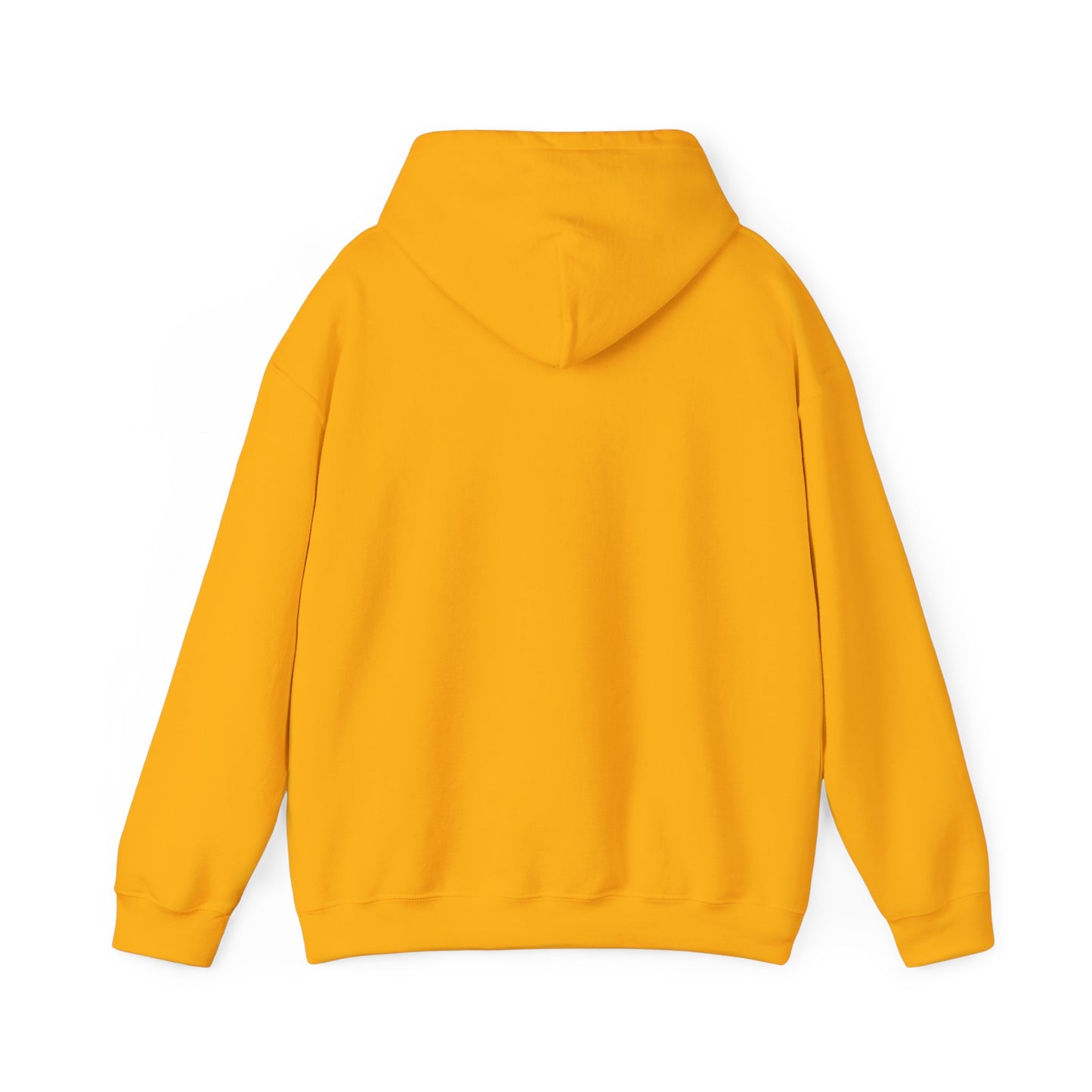 Plain Unisex Heavy Blend Hooded Sweatshirt