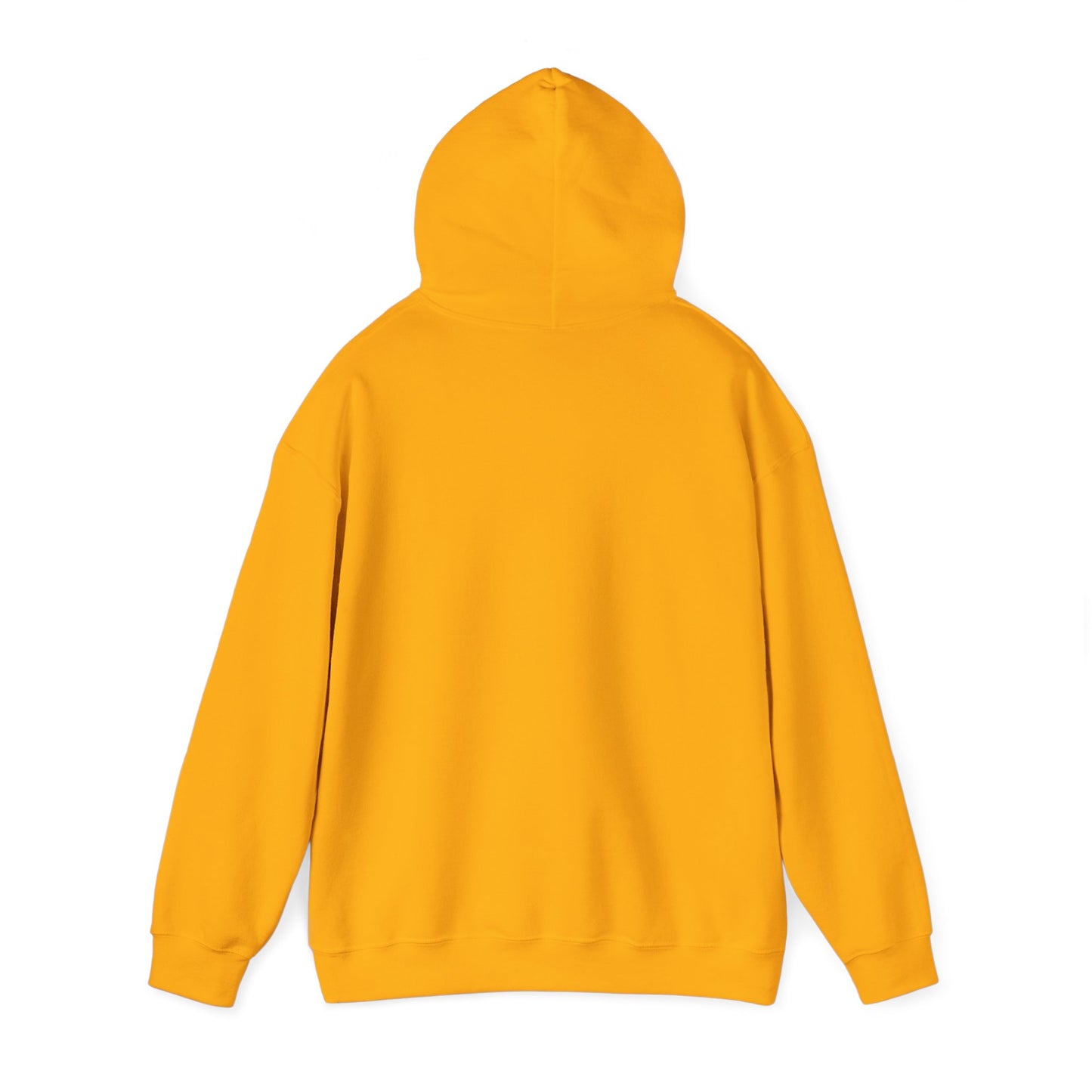 Plain Unisex Heavy Blend Hooded Sweatshirt