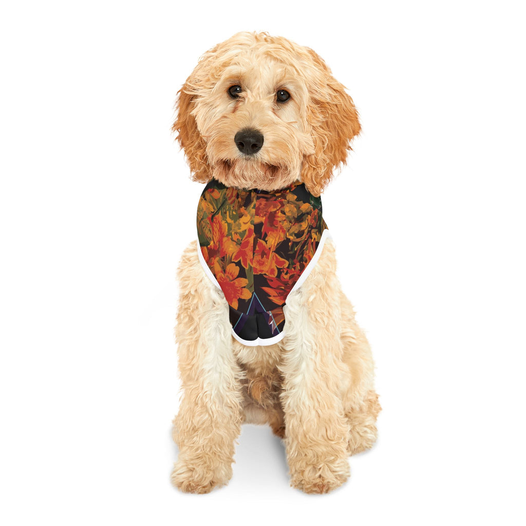 Vellochord Black Pet Hoodie