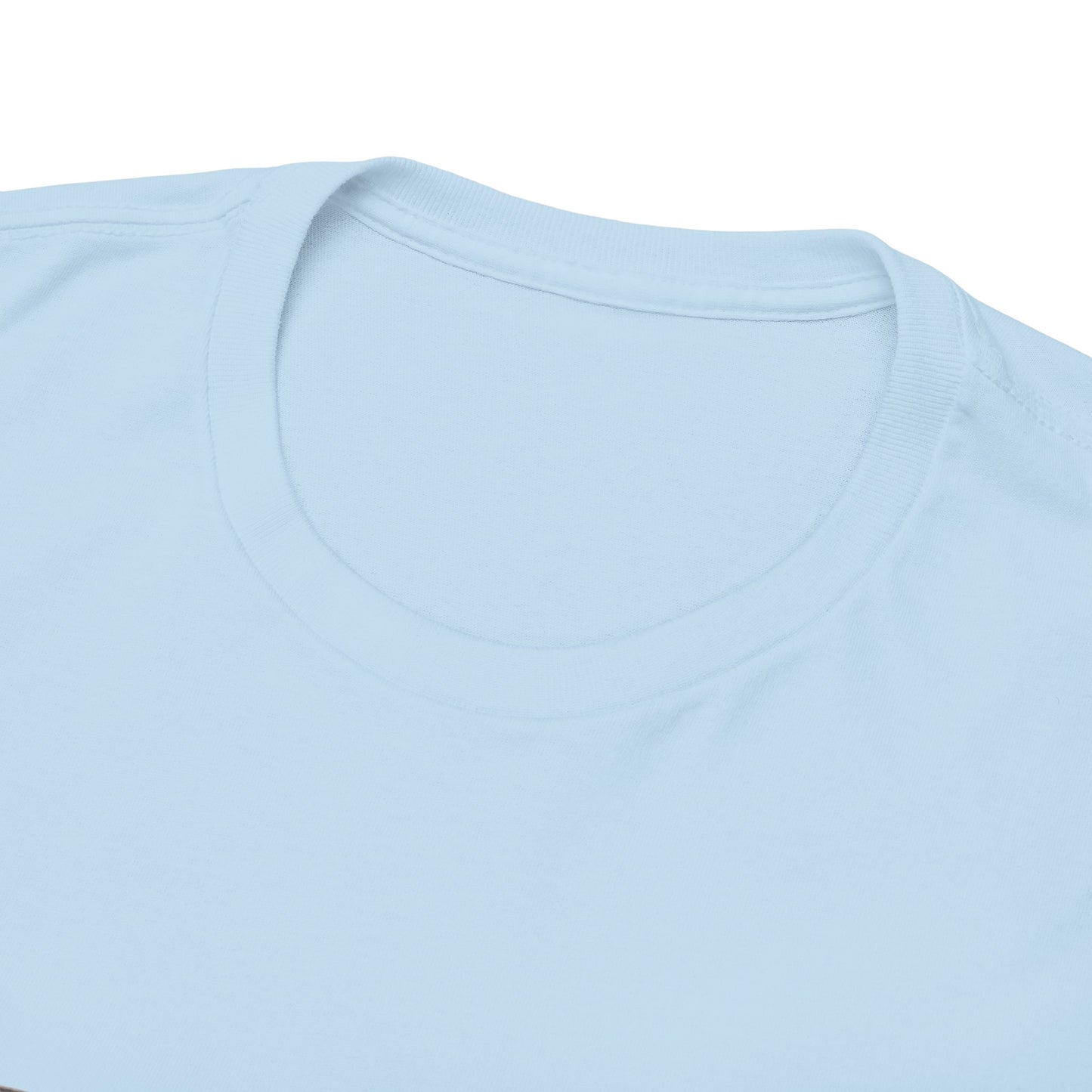 Samsara Unisex Heavy Cotton Tee