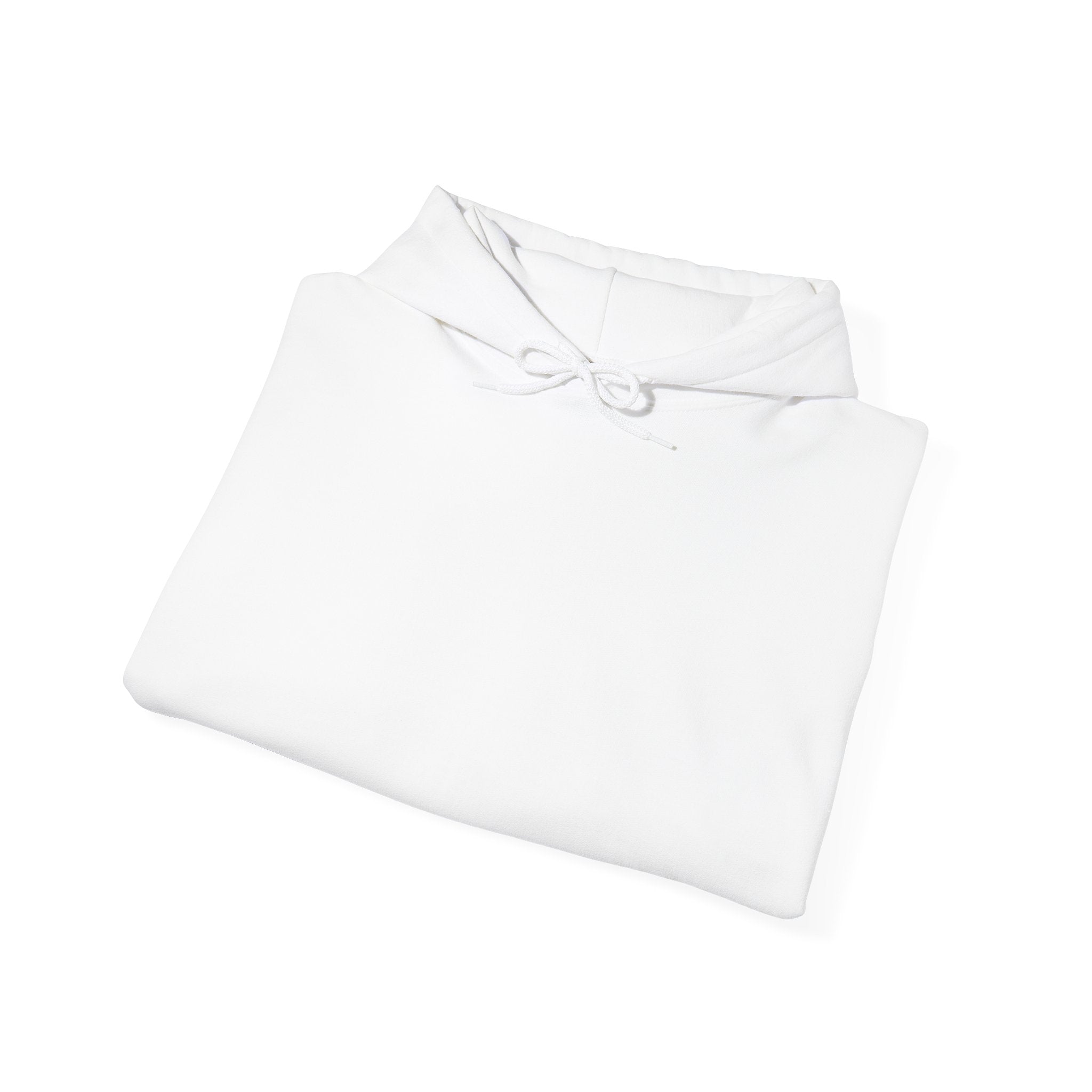 Plain Unisex Heavy Blend Hooded Sweatshirt