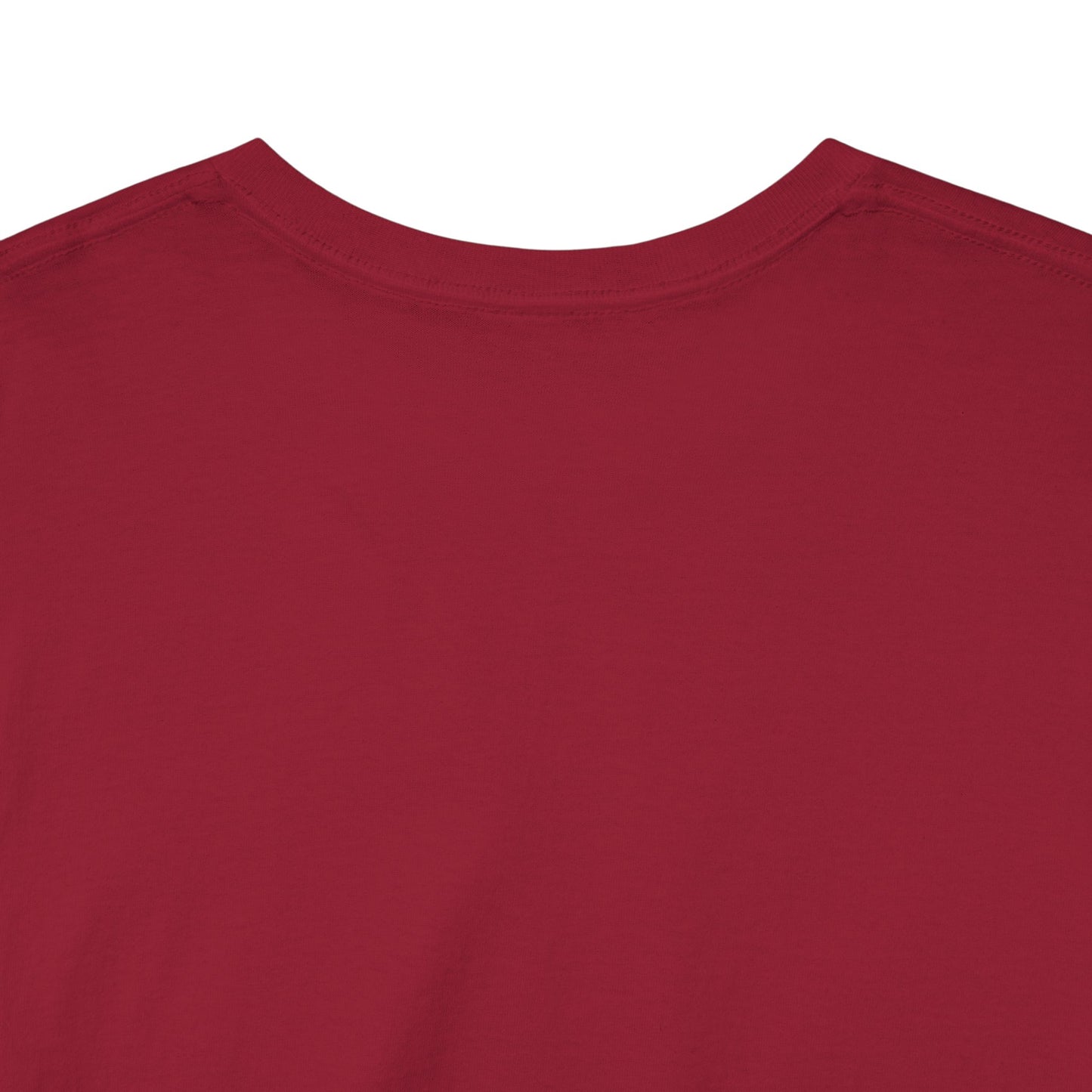 Samsara Unisex Heavy Cotton Tee