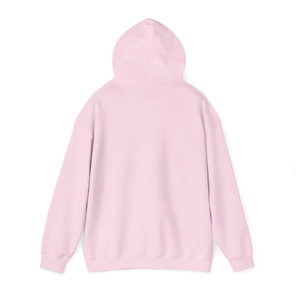 Plain Unisex Heavy Blend Hooded Sweatshirt