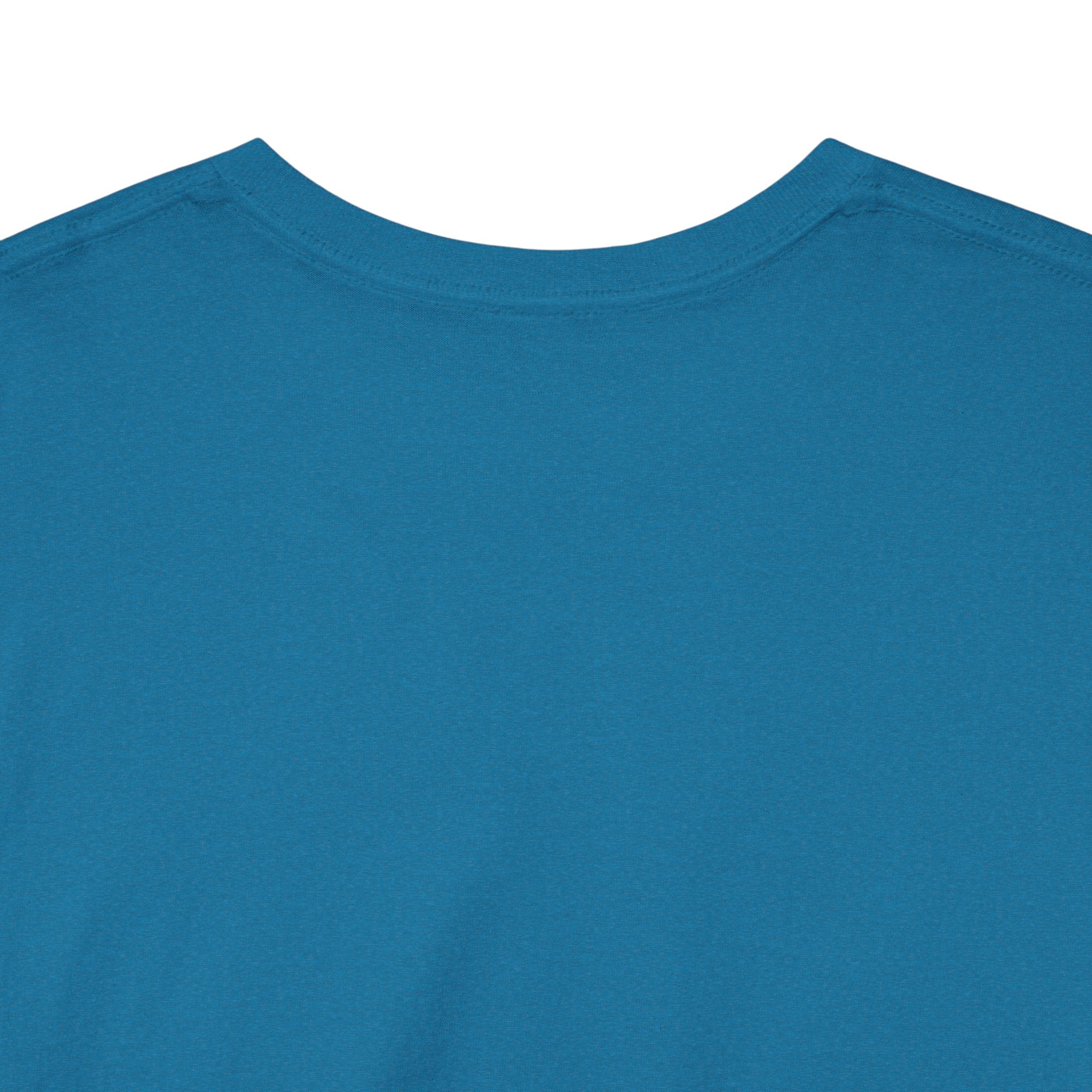Samsara Unisex Heavy Cotton Tee