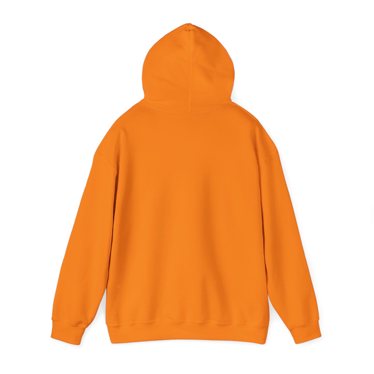 Plain Unisex Heavy Blend Hooded Sweatshirt