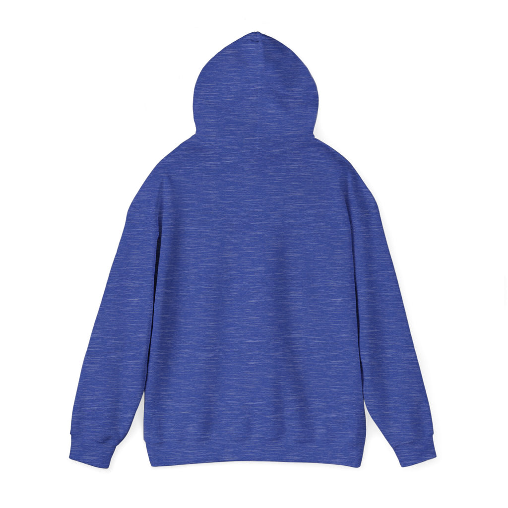 Plain Unisex Heavy Blend Hooded Sweatshirt
