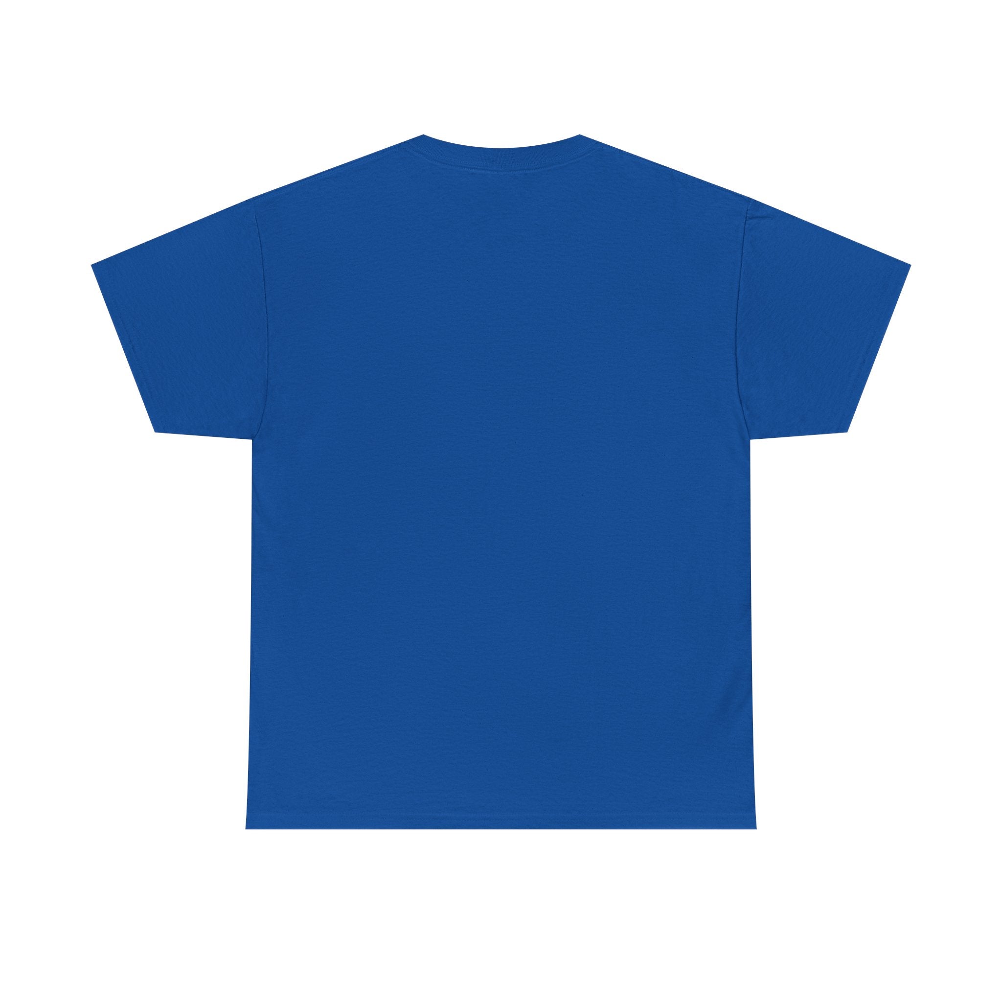 Samsara Unisex Heavy Cotton Tee